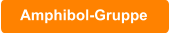 Amphibol-Gruppe