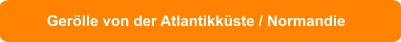 Gerölle von der Atlantikküste / Normandie