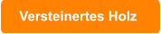 Versteinertes Holz