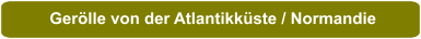 Gerölle von der Atlantikküste / Normandie